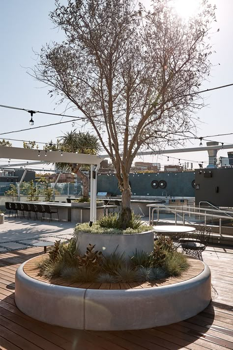 Custom designed and manufactured rooftop garden seat planter in GRC. Habitat House. Photography by Terence Chin. Planter With Seating, Planter Seating, Rooftop Landscape, Courtyard Deck, Miami Landscape, Rooftop Planters, Urban Planters, Garden Escape, Tree Bed