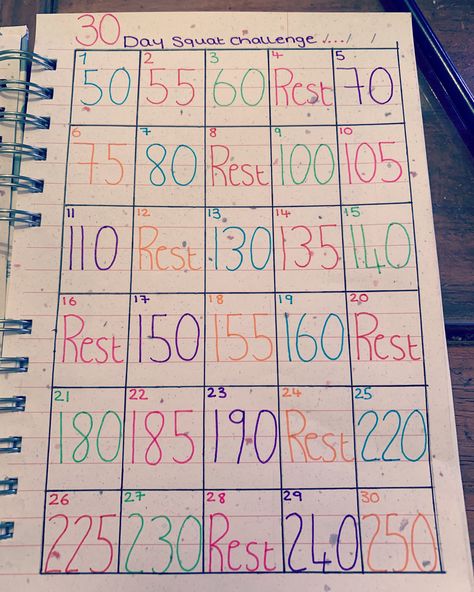 30 Day Arm Challenge, 30 Day Arm, Hiit Workouts Fat Burning, Journal Workout, Journaling 101, Challenge 30 Day, 30 Day Squat, 30 Day Squat Challenge, Weak Knees