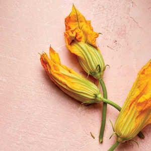 How to Prepare Squash Blossoms and Why You Should Eat More of Them How To Prepare Squash, Cook Squash, Fried Squash Blossoms, Stuffed Squash Blossoms, Squash Fries, Zucchini Flowers, Zucchini Blossoms, Squash Blossoms, Squash Salad