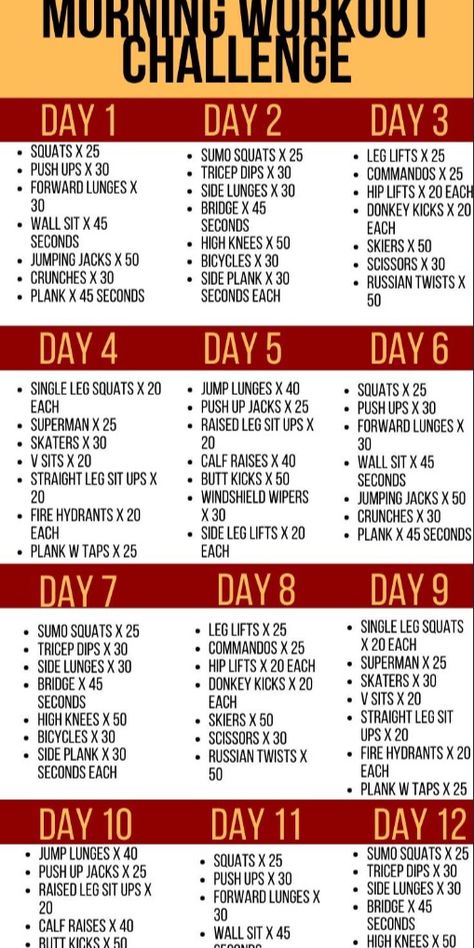 : Get Fit and Healthy in Just 30 Minutes a Day!

#30daymorningworkoutplan #morningworkout #workoutplan #fitness #getfit Morning Workout Challenge, Morning Exercise Routine, Morning Workout Routine, Morning Exercise, Beginner Workout At Home, 30 Day Abs, Fitness Blender, Ab Challenge, Tricep Dips