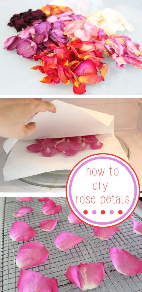 This is the best way to preserve the beauty and fragrance of a beautiful bouquet of fresh roses.  Drying them make them great embellishments for cards, confetti for weddings and bridal showers, and potpourri. http://www.ehow.com/how_2293715_dry-rose-petals.html?utm_source=pinterest.com&utm_medium=referral&utm_content=inline&utm_campaign=fanpage Dry Rose Petals, Dry Rose, Gift Crafts, Drying Roses, Pot Pourri, Dried Rose Petals, Mason Jar Diy, Mason Jar Crafts, Jar Crafts