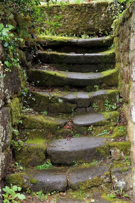 Stairs In The Forest, Stone Steps, Gothic Garden, Stone Stairs, Garden Steps, Nature Spirits, Urban Nature, Formal Gardens, Garden Pathway