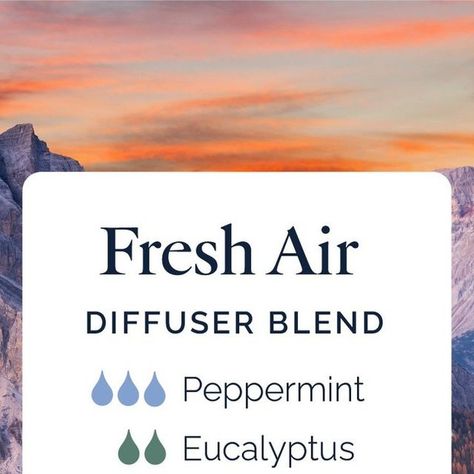 Air Purifying Essential Oil Blend, Fresh Air Diffuser Blend, Air Diffuser, Air Diffusers, Diffuser Blend, Wild Orange, Doterra Essential Oils, Diffuser Blends, Air Purifier