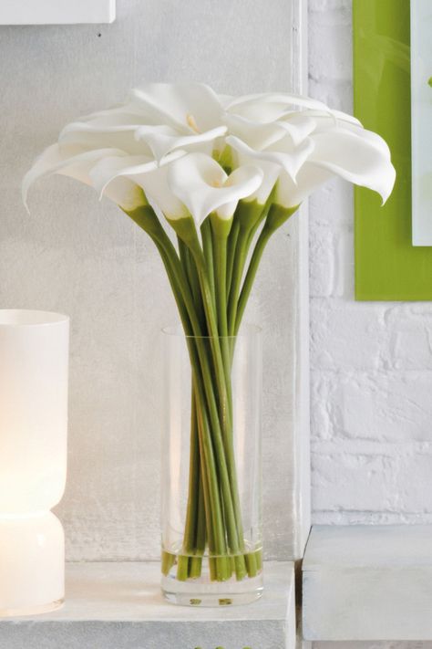 next lilies Floral Arrangements Ideas, White Calla Lily Bouquet, Decor Diy Ideas, Flower Decorations Diy, Flower Vase Arrangements, Modern Flower Arrangements, Vase Arrangements, Deco Floral, Modern Flower