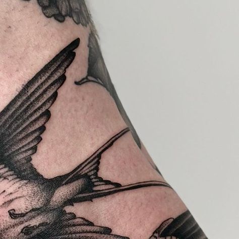 𝒔𝒑𝒆𝒏𝒄𝒆 on Instagram: "🕊️🕊️🕊️ tough session with and for Silvan thanks again 🙏" Golondrinas Tattoo, Sparrow Tattoo Design, Sparrow Tattoo, Swallow Tattoo, Bicep Tattoo, Tattoo Artwork, Bird Tattoo, Nature Tattoos, Birds Tattoo