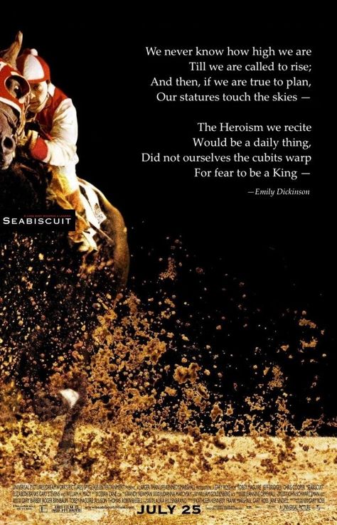 Seabiscuit Quotes, Horse Language, Horse Racing Quotes, Horseback Riding Quotes, Horse Poems, Inspirational Horse Quotes, Provoking Quotes, Wise Mind, Racing Quotes