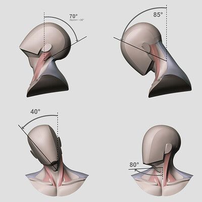 ArtStation - Anatomy Studies Planes Of The Head, Second Guessing Yourself, Muscles Of The Neck, Head Anatomy, Second Guessing, Face Anatomy, Anatomy Sculpture, 얼굴 드로잉, Anatomy Tutorial