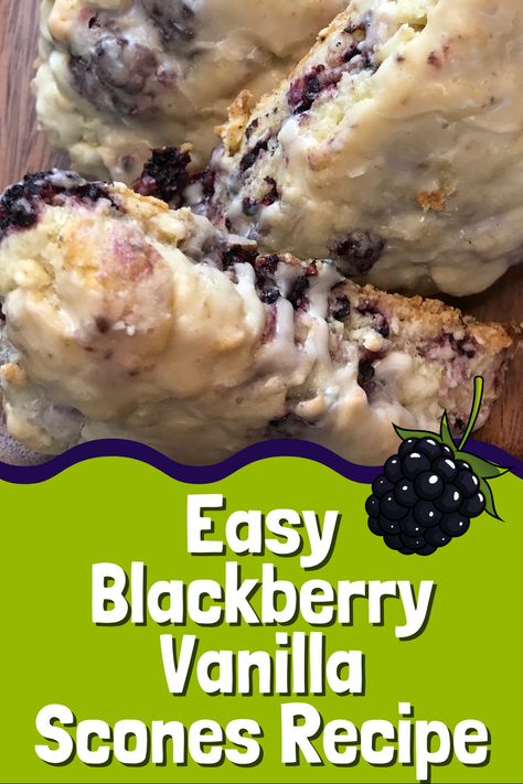 Blackberry Vanilla Scones, Blackberry Scones Easy, Recipes For Scones Easy, Scones From Bisquick, How To Make Scones Easy, Sourdough Blackberry, Summer Scones, Vanilla Scones Recipe, Blackberry Scones Recipe