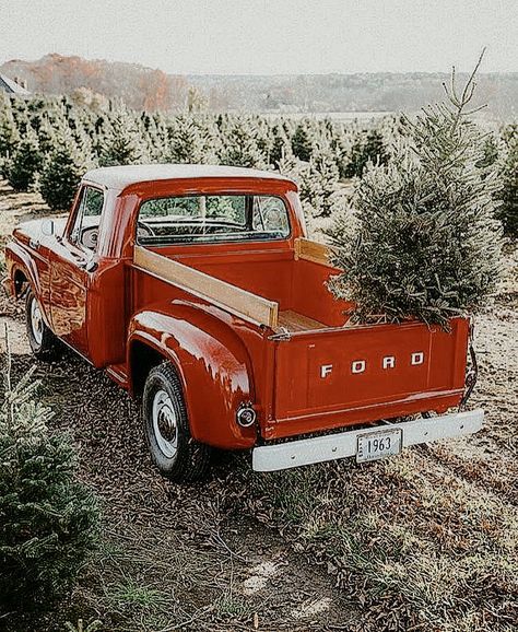 Little Red Truck Hauling A Christmas Tree, Red Truck Christmas Tree Wallpaper, Old Red Ford Truck, Farm Truck Aesthetic, Christmas Farm Aesthetic, Little Red Truck Christmas Tree, Ios 16 Christmas, Christmas Tree Farm Aesthetic, Old Country Christmas