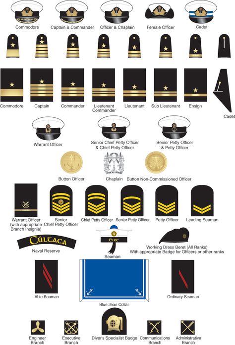 The military insignia includes a variety of different symbols and insignias used within the Navy on caps, badges and uniform lapels to identity there rank and affiliation. Naval Rank Insignia, Navy Insignia, Navy Ranks, Military Awards, Uss Iowa, Army Ranks, United States Naval Academy, Military Logo, Military Ranks