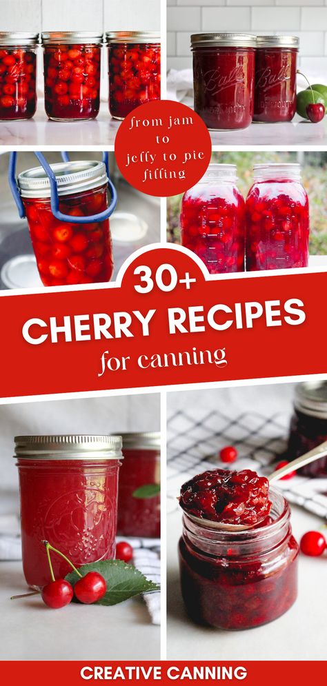 Discover the delight of sour, sweet, and tart cherries with our extensive collection of cherry canning recipes. These recipes will guide you through creating scrumptious jam, jelly, and pie fillings from the comfort of your home. Experience the pleasure of preserving cherries in their peak season! From Jam to jelly to pie filling! Cherry Canning Recipes, Cherry Recipes Canning, Preserving Cherries, Recipes For Canning, Sour Cherry Recipes, Jar Fruit, Cherry Pie Filling Recipes, Sour Cherry Jam, Cherry Jam Recipes