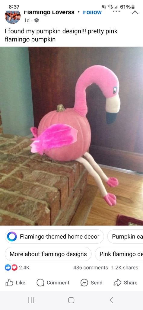 Pink Pumpkin Decorating Contest, Flamingo Pumpkin Decorating, Flamingo Pumpkins, Pink Pumpkin Ideas, Flamingo Pumpkin, Pumpkin Decorating Contest, Pink Pumpkin, Pumpkin Ideas, Pink Pumpkins