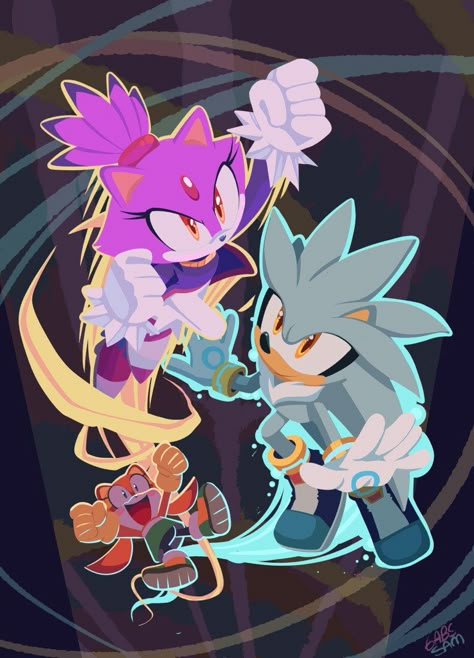 Blaze X Silver, Silver X Blaze, Silver And Blaze, Sonic The Hedgehog Characters, Blaze The Cat, Sonic Ships, Fandom Drawing, Shadow Sonic, Sonic Heroes