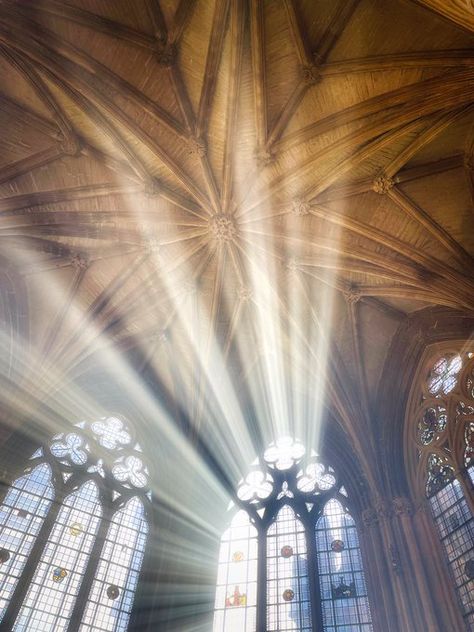 Andy Marshall 📸 on X: "🙏📸🏛☀️ I'm thankful for my job and the joy of photography. Unlike many other chapter houses, the ribbed vaulting of Southwell Minster's C13th chapter house doesn't have a central pier. It hovers over the space like a starburst in dramatic light. https://t.co/CBhrZbZirT" / X Vaulting, My Job, The Space, Old World, Photography