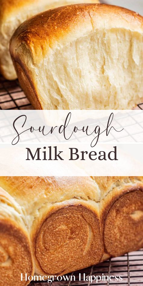 Sandwhich Bread, Dough Starter Recipe, Milk Bread Recipe, Japanese Milk Bread, Sourdough Bread Sandwiches, Sourdough Starter Discard Recipe, Homemade Sourdough Bread, Homemade Sourdough, Sourdough Starter Recipe