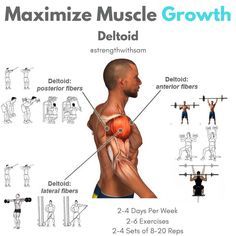 Shoulder Workouts For Men, Deltoid Workout, Biceps And Triceps, Muscle Building Workouts, Weight Training Workouts, Gym Routine, Gym Workout Tips, Muscle Growth, Shoulder Workout