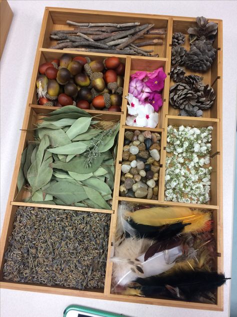 Reggio Nature Activities, Loose Parts Nature, Natural Loose Parts Preschool, Nature Loose Parts Play, Nature Montessori, Outdoor School Activities, Childrens Gardening, Preschool Garden, Reggio Inspired Classrooms