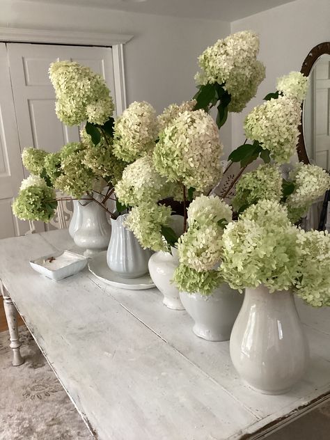 Dried Hydrangeas Wedding, Green Hydrangea Wedding, Antique Hydrangea, Hydrangea Wedding, Dried Hydrangeas, Hydrangeas Wedding, Green Hydrangea, Wedding Florals, My Flower