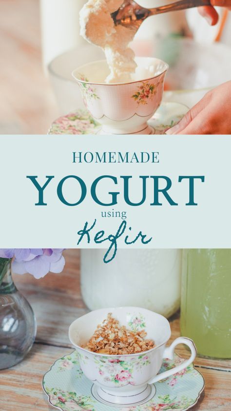 Kefir Yogurt Recipes, Kombucha Brewery, Homemade Kefir, Milk Kefir Recipes, Fermented Recipes, Fermenting Foods, Soda Alternatives, Milk Kefir Grains, Kefir Yogurt