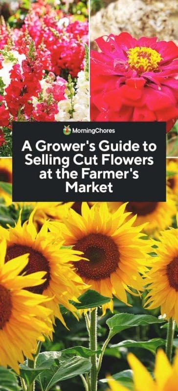 Flowers To Sell At Farmers Market, Selling Flowers At Farmers Market, Farmers Market Bouquet Cut Flowers, Things To Sell At Farmers Market, Flower Stand Ideas Farmers' Market, Farmers Market Ideas To Sell, Farmers Market Flower Display, Roadside Farmstand, Selling Flowers