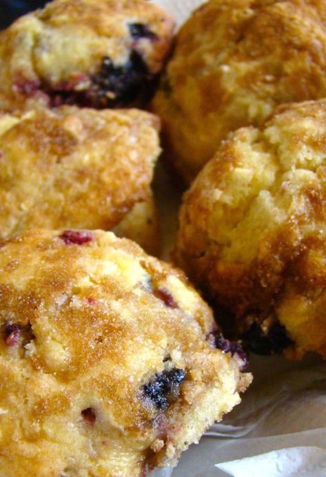 Blueberry Cottage Cheese, The Best Muffins, Cottage Cheese Dessert Recipes, Cottage Cheese Muffins, Best Muffins, Cottage Cheese Recipes Healthy, Cottage Cheese Desserts, Muffin Flavors, High Protein Desserts