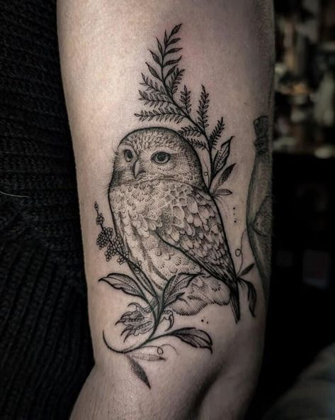 Tiny Owl Tattoo, An Owl Tattoo, Owl Legs, Traditional Owl Tattoos, Magical Owl, Owl Tattoo Sleeve, Squirrel Tattoo, Fern Tattoo, Crazy Tattoos