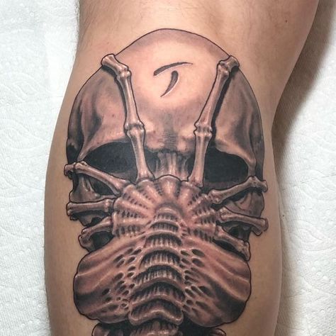 H R Giger Tattoos, Alien Vs Predator Tattoo, Facehugger Tattoo, Alien Tattoo Xenomorph, Xenomorph Tattoo, Alien Tattoos, Movie Drawings, Predator Tattoo, Buddha Tattoo Sleeve