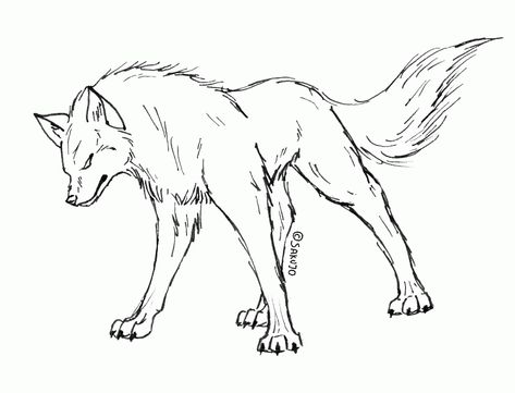 Realistic Drawings Of Wolves Growling Images & Pictures - Becuo Growling Wolf Drawing Reference, Wolves Growling, Wolve Drawings, Wolf Outline Drawing, Sketches Dog, Wolf Lineart, Wolf Growling, Wolf Outline, Angry Anime