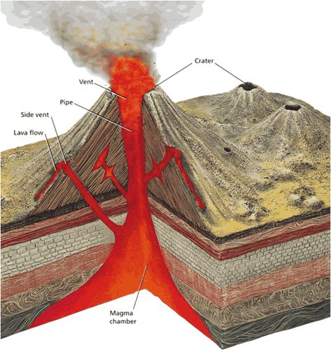 Cinder cone diagram Cinder Cone Volcano, Magma Chamber, Lava Flow, Volcano, Quick Saves, Art