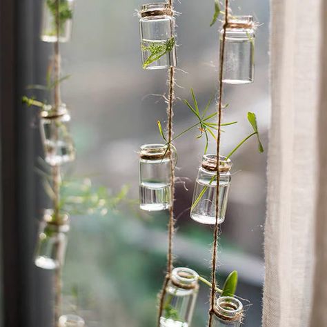 Mushroom Bathroom, Takken Decor, Hanging Glass Planters, Reuse Ideas, Plants Hanging, Air Plant Display, Gothic Garden, Hanging Vases, Propagating Succulents