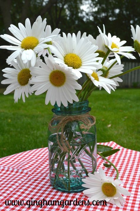 Cut Flower Food, Daisy Flower Arrangements, Garden Vignettes, Coastal Flowers, Flower Reference, Flowers Last Longer, Farmhouse Decorations, Shasta Daisies, Mobile Wedding