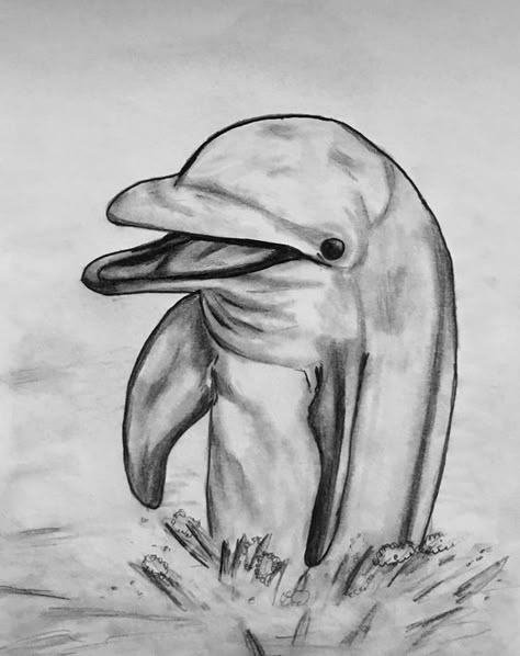 Dolphin Sketch Pencil, Drawing Ideas Animals, Clip Art Fish, Dolphin Drawing, Easy Pencil Drawings, Pencil Drawings For Beginners, Dolphin Art, Pencil Drawings Of Animals, Drawings Of Animals