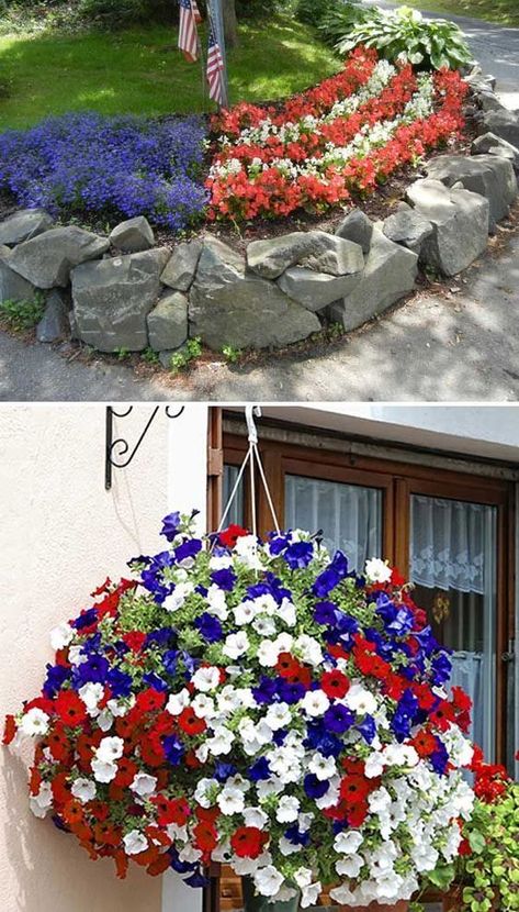 Amazing petunia: a magnificent decoration for any garden | My desired home Blue Petunias, Diy 4th Of July Decorations, Sculptural Fashion, White And Blue Flowers, Fourth Of July Decor, Garden Yard Ideas, 4th Of July Decorations, Outdoor Decorations, Flower Bed