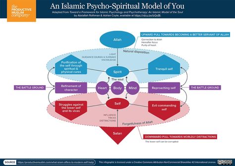 What Islam Offers to Modern Self-Help: An Islamic Paradigm of Psychology Islamic Psychology, Sustainable Environment, Islam Beliefs, Personal Improvement, True Identity, Human Soul, True Nature, Life Purpose, Professional Development