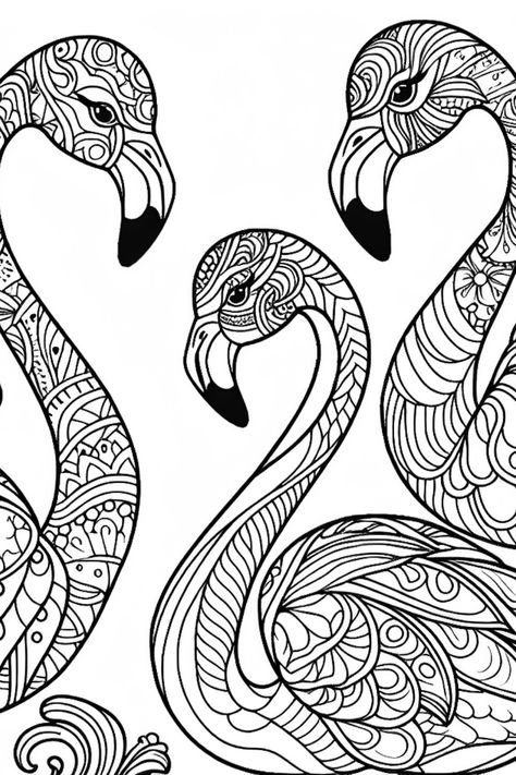 Unleash your creativity with these fun and free Flamingo coloring pages. Perfect for kids and adults alike. Choose from a decorative Flamingo Quartet and more. Let your imagination soar with over 6 printable pages to enjoy. Flamingo Mandala, Flamingo Centerpiece, Printable Flamingo, Flamingo Coloring Page, Flamingo Pictures, Flamingo Color, Tropical Background, Birds In The Sky, Whimsical Artwork