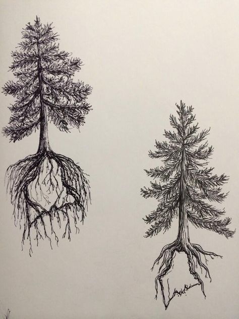 Pine tree state tattoo Maine Tattoo, Maple Tree Tattoos, Tree Roots Tattoo, Tree Tat, Tree Tattoo Men, Roots Tattoo, State Tattoos, Oak Tree Tattoo, Family Tree Tattoo