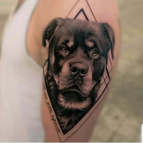 10 Cool Rottweiler Tattoos Drawn On The Bodies Of The Most Loyal Owners - Rottweiler Life Rottweiler Tattoo Ideas, Rottweiler Tattoo, Tattoo Pet, Small Dog Tattoos, Dog Portrait Tattoo, Dog Memorial Tattoos, Scorpion Tattoo, Tattoo Dog, Geniale Tattoos