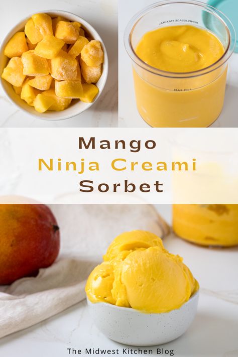 Berry Sorbet Ninja Creami, Orange Sorbet Ninja Creami, Ninja Creami Sorbet Recipes Healthy, Ninja Creami Banana Sorbet, Ninja Creami Healthy Sorbet, Creami Ninja Recipe Sorbet, Pineapple Sorbet Ninja Creami, Ninja Creami Mango Ice Cream, Mango Sorbet Ninja Creami