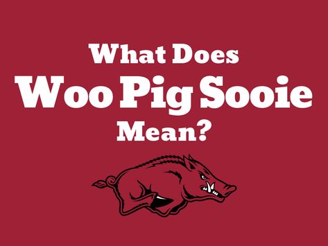 What Does Woo Pig Sooie Mean? Arkansas Razorbacks Cheer Arkansas Razorbacks Crafts, Ar Razorbacks, Football Trivia, Feral Pig, Arkansas Razorbacks Football, Arkansas Football, Fun Trivia Questions, Woo Pig Sooie, Fun Trivia