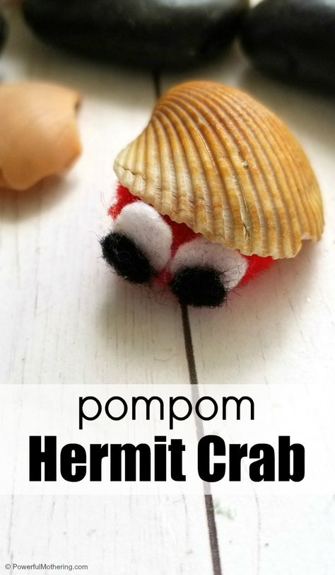 Use a few simple materials to make a pompom hermit crab craft for kids. Perfect after reading "A House for Hermit Crab" by Eric Carle Animal Art Activities, Hermit Crab Craft, Hermit Crab Crafts, Coral Reef Craft, Make A Pompom, Crab Craft, Crab Crafts, Babysitting Ideas, School Age Activities