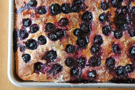 blueberry focaccia Blueberry Focaccia, Foccacia Bread, Focaccia Bread Recipe, Focaccia Recipe, Shortbread Bars, Weekend Cooking, Blueberry Breakfast, Blueberry Cream Cheese, Jelly Roll Pan