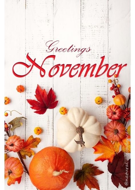 Welcoming a new month, full of new possibilities. Greetings, November! Welcome November Images, November Welcome, November Images, Welcome November, November Wallpaper, Lovely Good Morning Images, Hello November, Good Morning Inspiration, New Possibilities