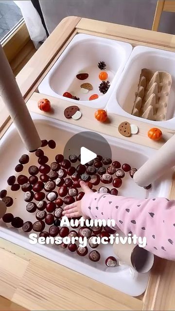 @borntoplayisa on Instagram: "🌟 Autumn Sensory Activity! 🍂

🍁 How about bringing the magic of autumn to your little one’s playtime?
With chestnuts, decorative pumpkins, and natural objects, they can explore textures and shapes in a fun and educational way.

👐 Helps develop motor skills and stimulates creativity!
All with simple materials you already have at home.

🎨 Easy to set up and super engaging!
A great way to entertain and teach kids while they play.

👶 Perfect for little explorers!

💡 Did you like the idea?
Tag someone who would love this activity and comment below what other sensory play themes you’d like to see! Let’s share this idea and inspire more families!

#AutumnPlay
#SensoryPlay
#KidsActivities
#MontessoriAtHome
#FallFun
#EarlyChildhoodEducation
#PlayAndLearn
#Toddle Decorative Pumpkins, Natural Objects, Sensory Activity, Instagram Autumn, Teach Kids, Sensory Activities, Early Childhood Education, Sensory Play, Tag Someone Who