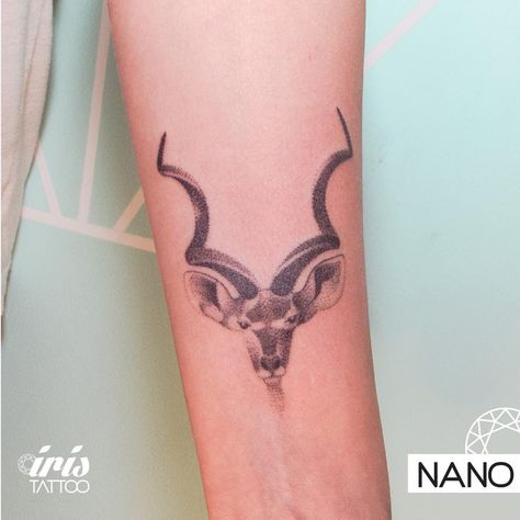 Antelope Skull Tattoo, Left Forearm Tattoo, Kudu Tattoo, Antelope Tattoo, Skull Tattoo Meaning, Antelope Skull, Antler Tattoos, Small Animal Tattoos, Animal Tattoos For Men