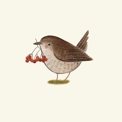 Anyone else having a busy autumn? . #wren #autumn #fall #autumnvibes🍁 #winterisxoming #birdart #illustration #nesting #foraging #illustrationart #sararhys Foraging Illustration, Wren Illustration, House Wren, Artsy Illustration, Bird Illustrations, Bird Illustration, Art References, Wren, Autumn Fall