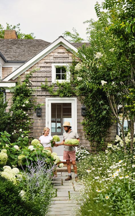 Small Front Garden Ideas, Hydrangea Petiolaris, Small Front Gardens, Shade Shrubs, Front Gardens, Garden Vegetables, Fall Garden Vegetables, Recycled Garden, Best Plants