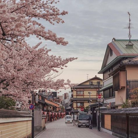 Fotografi Urban, Cherry Blossom Trees, Japan Street, Style Instagram, Japan Aesthetic, Aesthetic Japan, Korean Aesthetic, Japanese Aesthetic, City Street