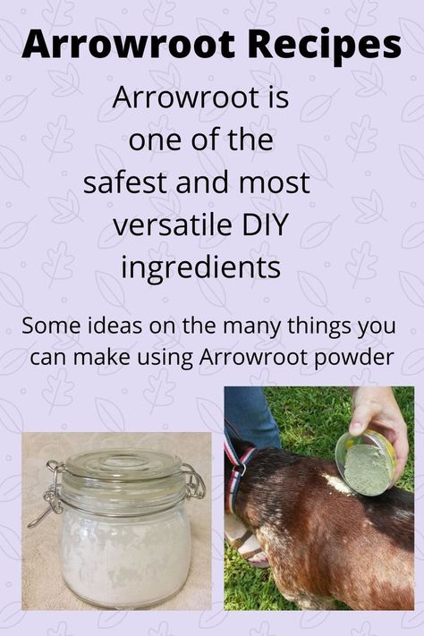 DIY recipes using Arrowroot powder. From pet flea dust to, egg replacer Arrowroot is one of the best DIY ingredients to add to your household. Arrowroot Recipes, Arrowroot Flour, Healthy Food Alternatives, Egg Replacer, Arrowroot Powder, Animals Care, What To Use, Flour Recipes, Help The Environment