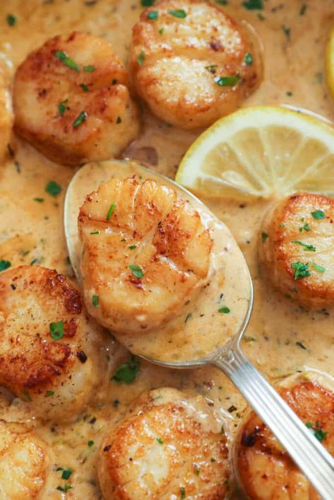 Creamy Scallops - Immaculate Bites Creamy Scallops, Vegan Scallops, Seafood Scallops, Seafood Dish Recipes, Creamy Pasta Salads, Baked Scallops, Lobster Recipes Tail, Pan Seared Scallops, Delicious Seafood Recipes