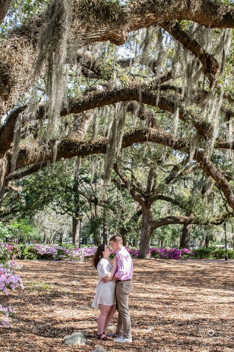 Savannah Ga Wedding Photos, Savannah Georgia Engagement Pictures, Engagement Photos Savannah Ga, Savannah Ga Engagement Photos, Savannah Engagement Photos, Mommy And Me Photo Shoot, Downtown Savannah, Forsyth Park, Fragrant Garden